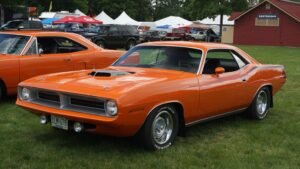 Barracuda
